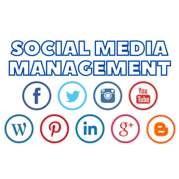 Social Media Management