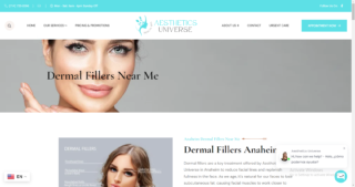 Dermal Fillers